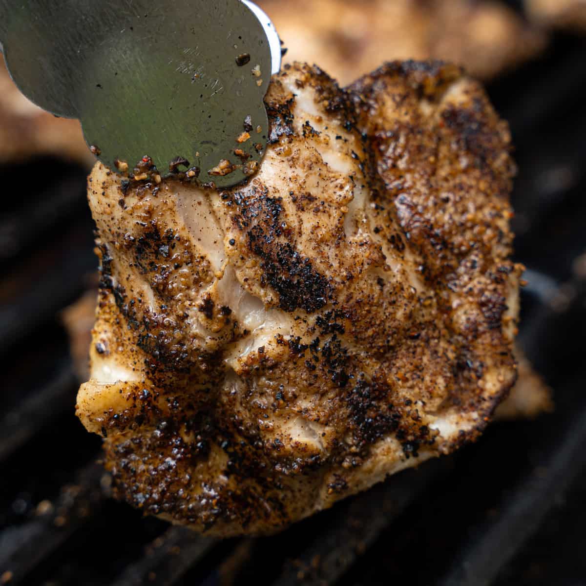 grilled chicken thighs with grill marks