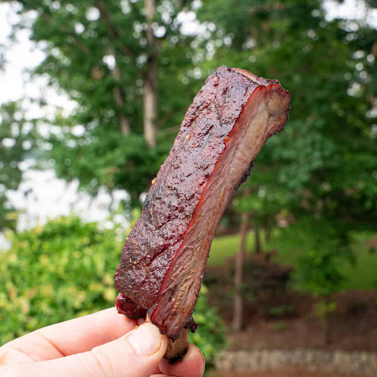 Smoked Rib at 250 Degrees, Sliced Up