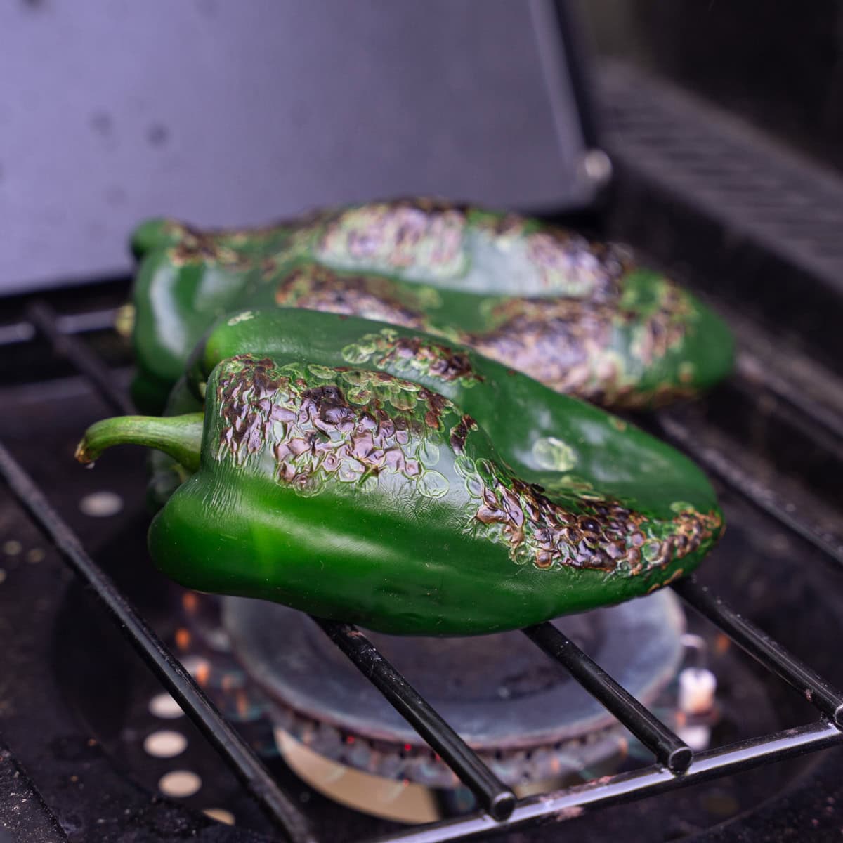 Roasting Poblanos over open flame