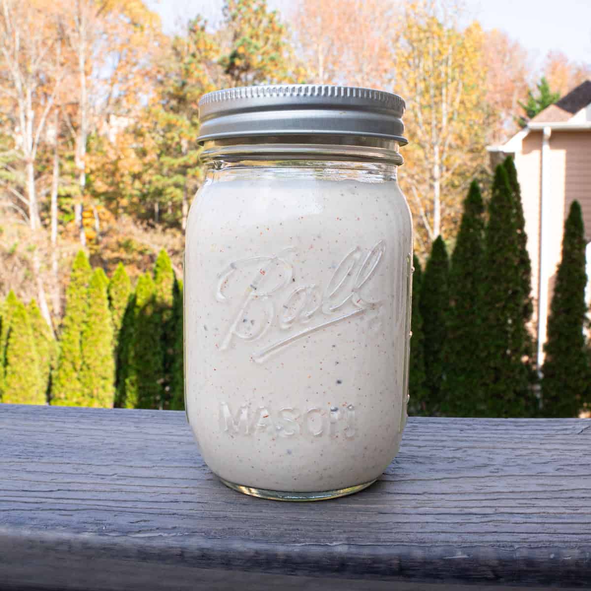 Finished product of my homemade alabama white sauce