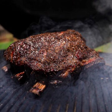 Beef Plate Short Ribs on the Smoker