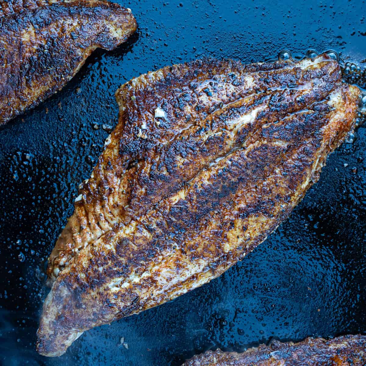 Blackening Catfish on The Griddle