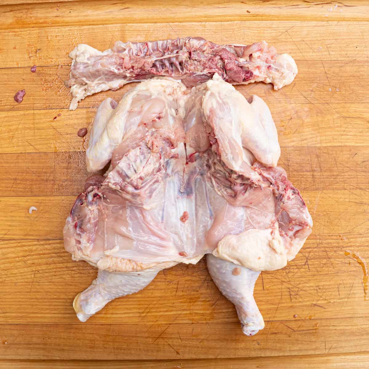 A whole chicken that has just had the backbone removed