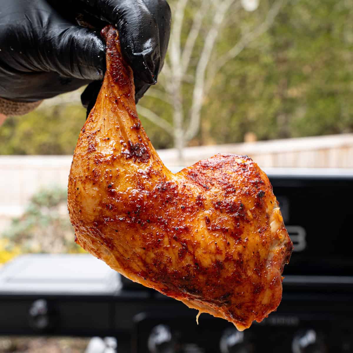 A fully cooked chicken quarter recently sliced from a spatchcock chicken that I smoked on a pellet grill