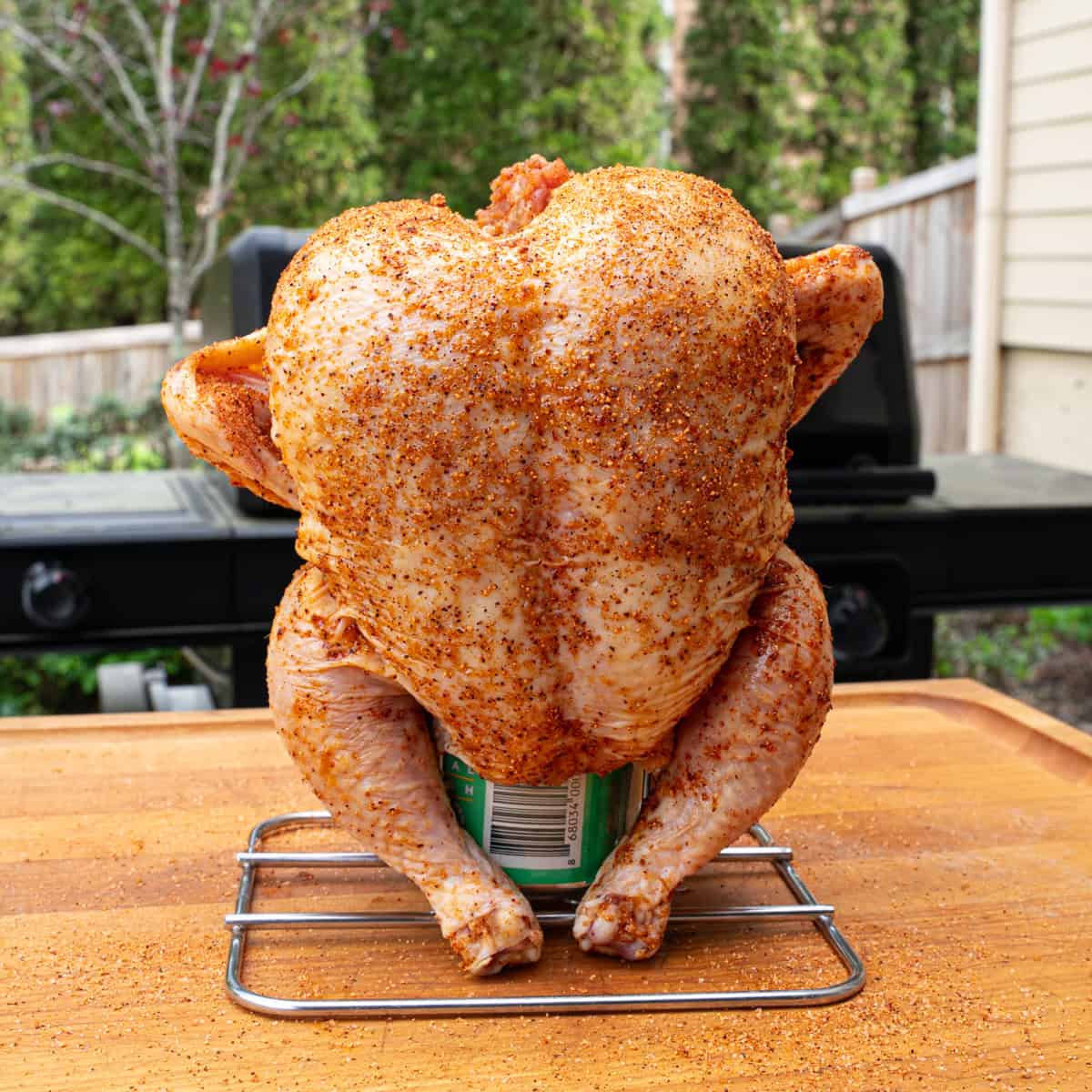 whole raw chicken recently seasoned and placed on a beer can ready to be cooked