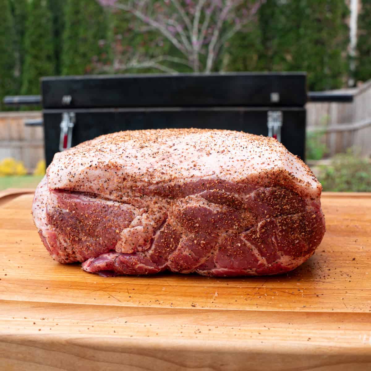 A bone-in pork shoulder just seasoned and ready to be placed on the smoker